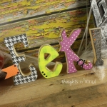 ck539-ss-eek