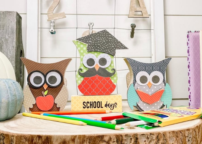 Wooden Owl Sets